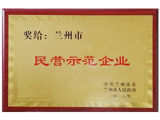 蘭州市民營示范企業