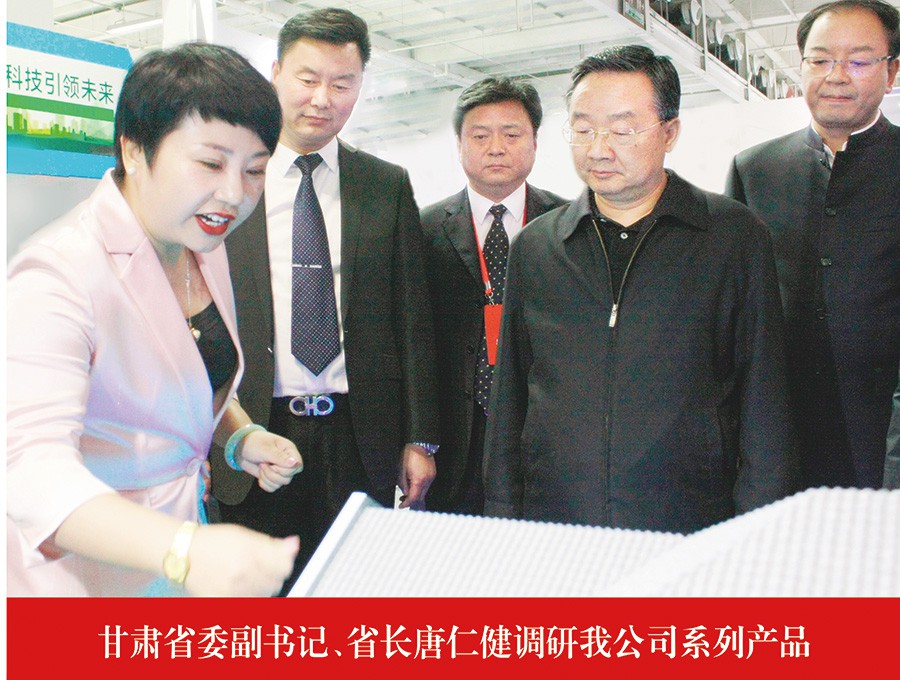 甘肅省委副書記、省長(zhǎng)唐仁健調(diào)研我公司系列產(chǎn)品