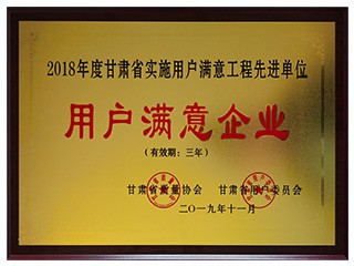 2018年度甘肅省實施用戶滿意工程先進單..